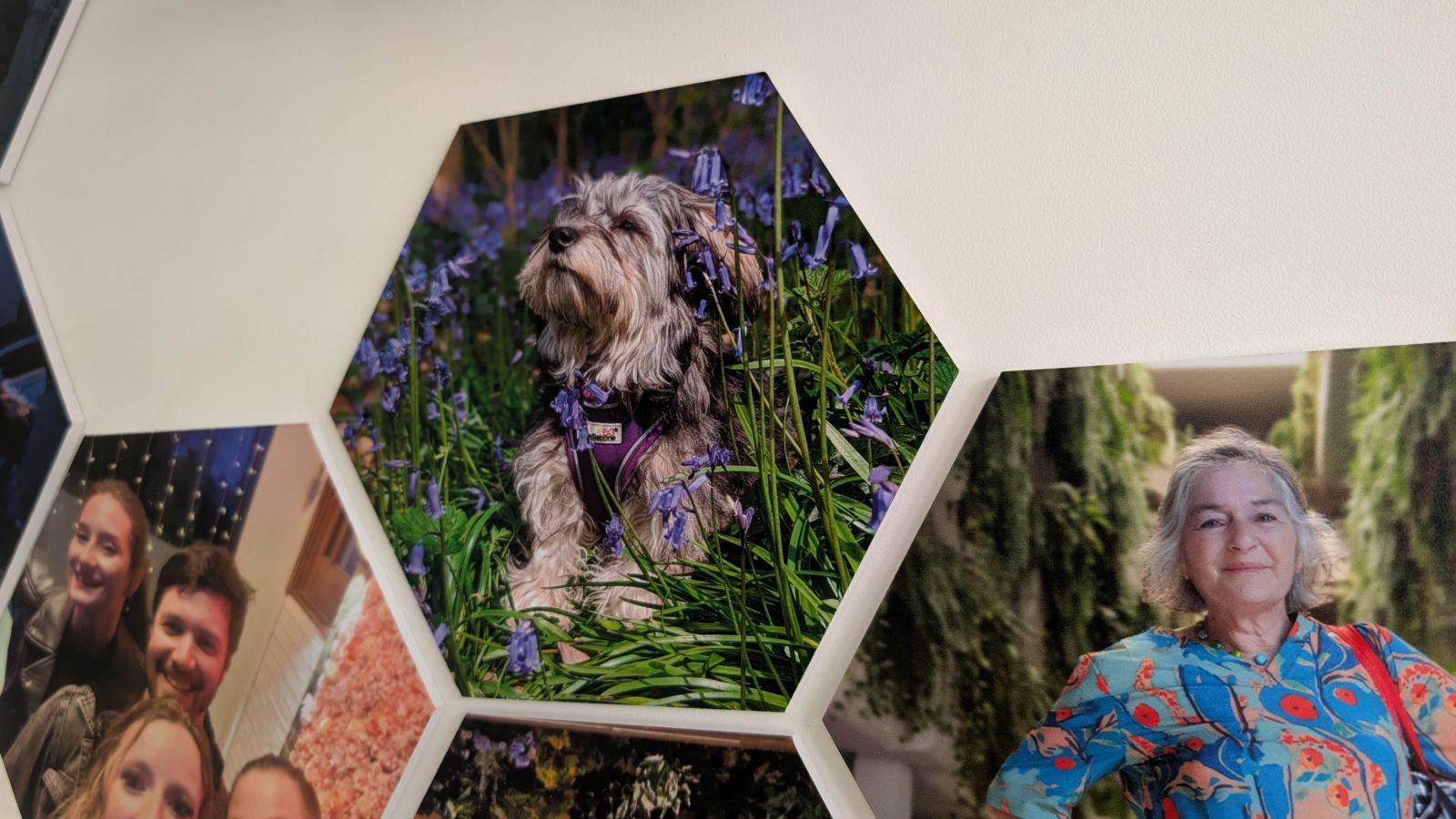 Close-up of a hexagonal Facet photo tile of a dog in bluebells, showing the print detail and the tile sitting flat to the wall.