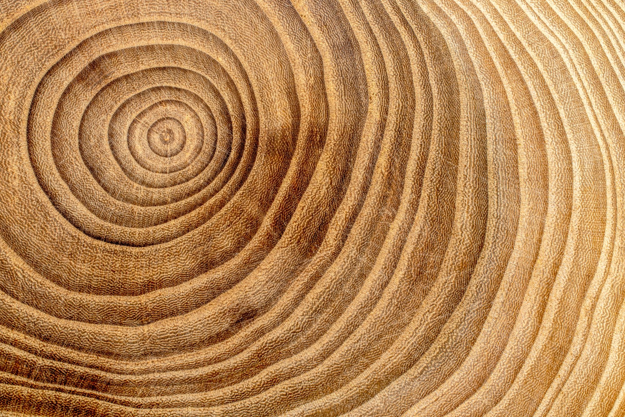Golden Wood Grain Rings