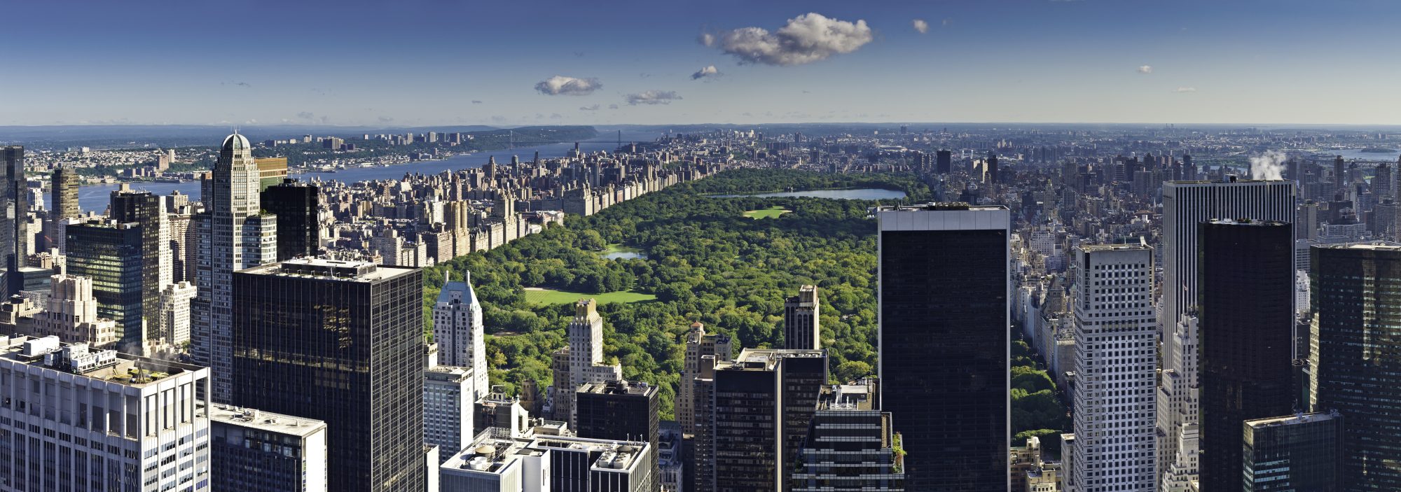 Central Park from Above