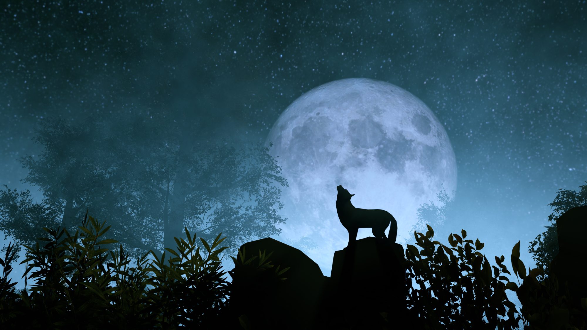 Wolf and Full Moon