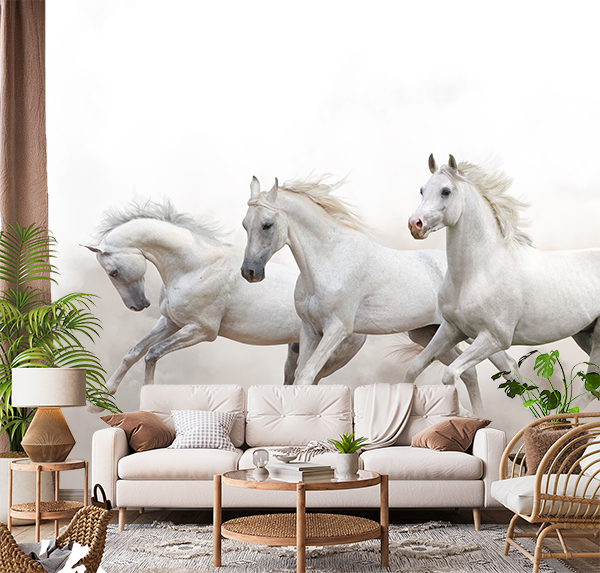 Beautiful White Arabian horses