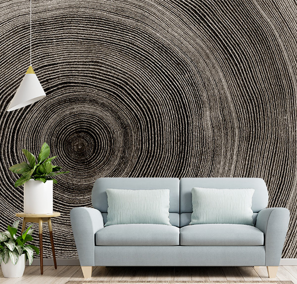 Add timeless charm with this close-up of tree rings. Intricate textures and patterns evoke warmth and natural beauty, perfect for enhancing rustic spaces.