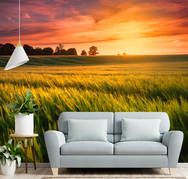 A vibrant sunset illuminates a wheat field. Ideal for rustic, peaceful decor that evokes warmth, nature, and rural landscape beauty.