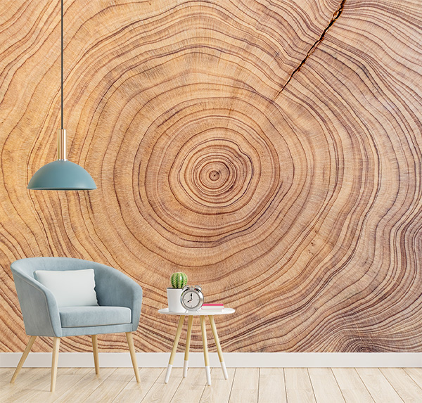 Enhance your space with this tree trunk rings art. Detailed, earthy, and elegant, it adds a touch of nature’s resilience and beauty to any decor style.