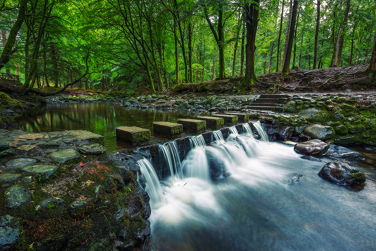 Tollymore Forest Park Waterfall