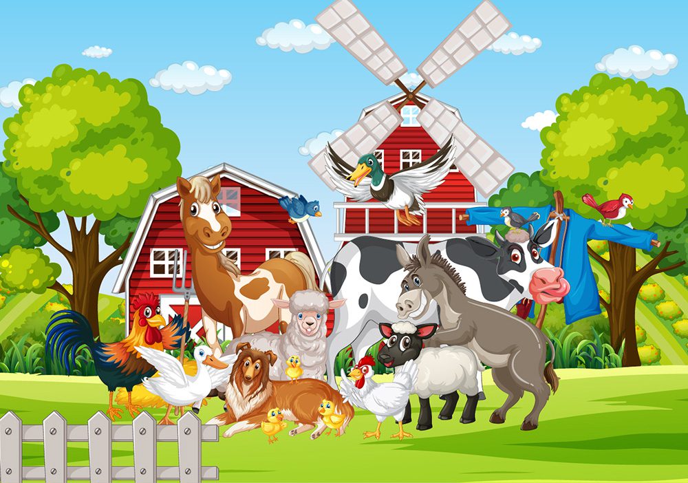 Red Barn Farm