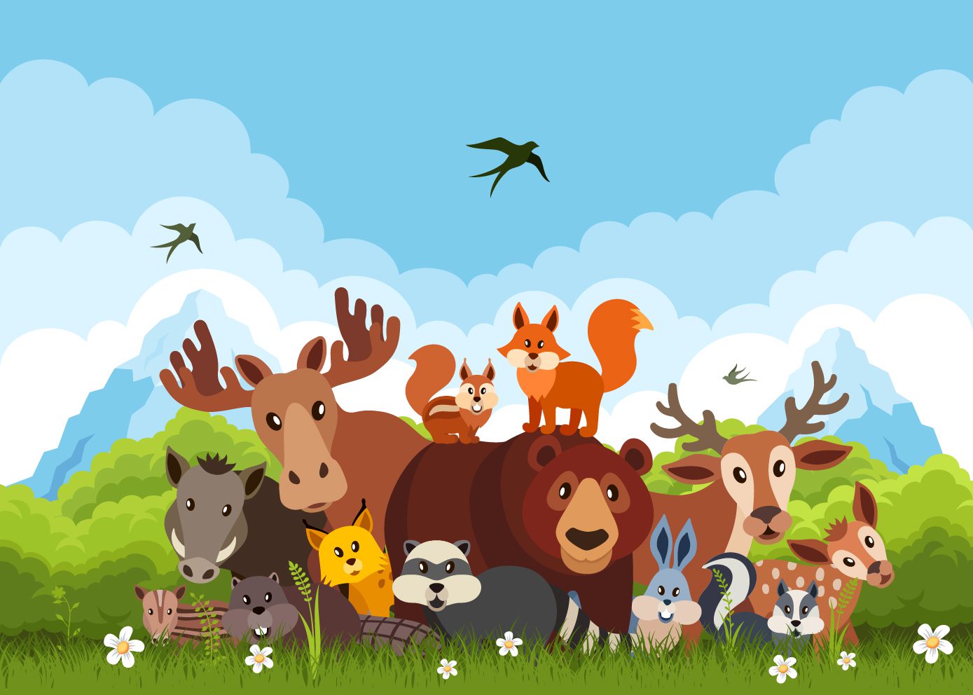 Woodland Wonderland