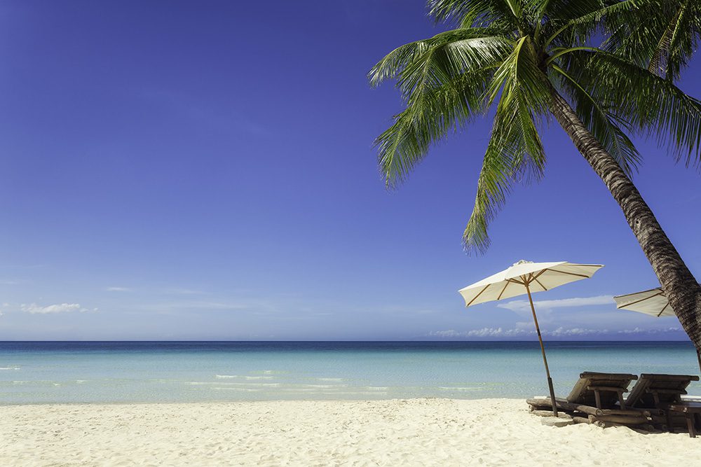 Palm Tree Beach